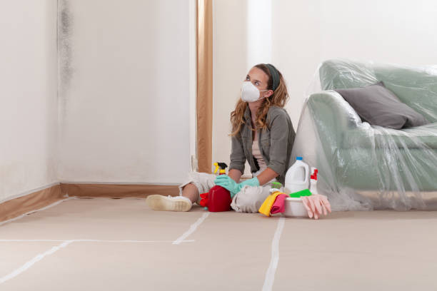Reliable Basement Mold Remediation contractor in Butler, GA by WQB Mold Removal